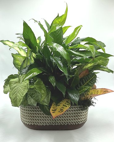 Metal Garden Planter