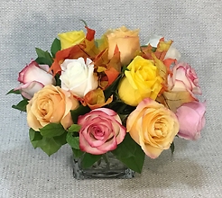Fall Rose Special