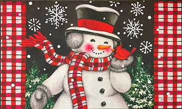 Snowman & Cardinal Door Mat