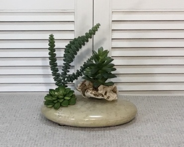 Faux Succulent in Ceramic