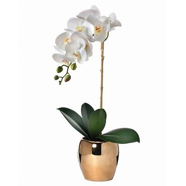 Silk Arrangement