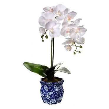 Silk Arrangement
