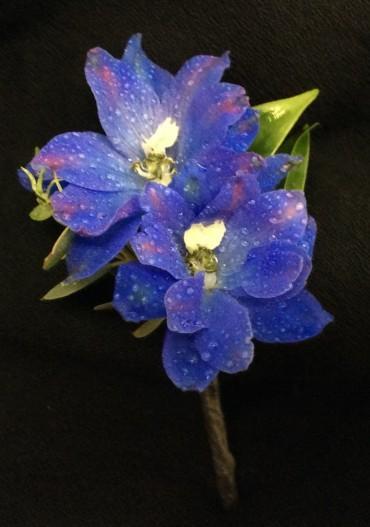 Bright Blue Delphinium