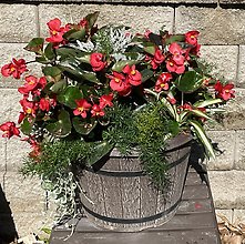 Whiskey Barrel Planter * Shade