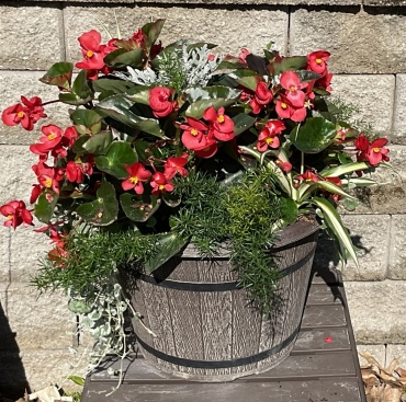 Whiskey Barrel Planter * Shade