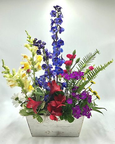 Garden Whimsy