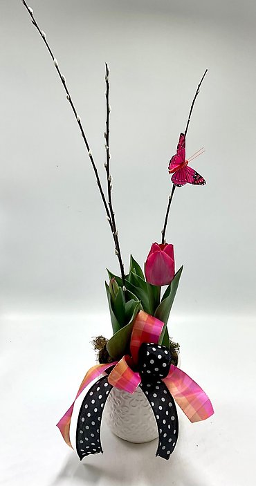 Tulip & Willow Garden