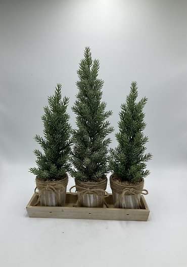 Trio of Christmas Trees