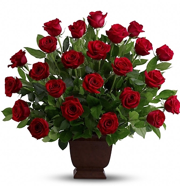 Red Rose Tribute