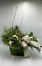 Enchanted Winter Greens