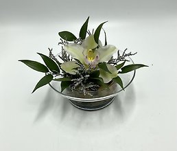 Moonlit Orchid