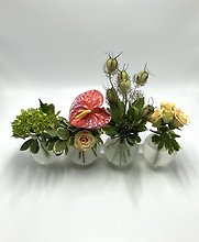 Botanic Curiosities