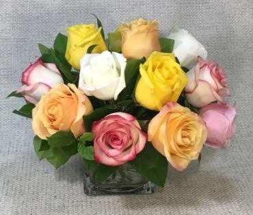 Spring Rose Special