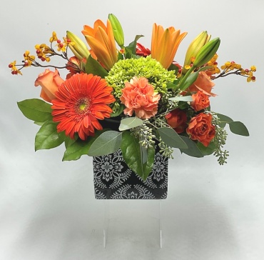 Orange Collaboration