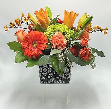 Orange Collaboration