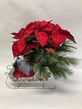 Poinsettia Express