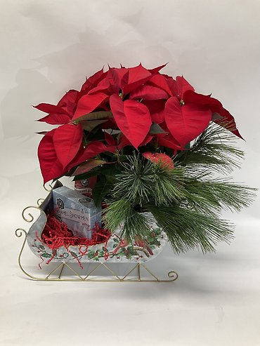 Poinsettia Express