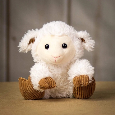 Scruffy Cuddly Lamb