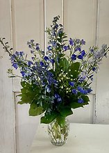 Give Back - Youth In Action