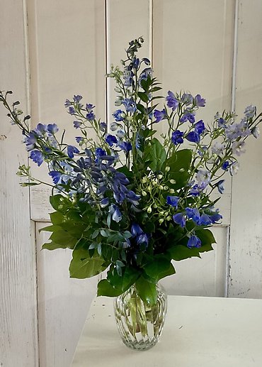 Give Back - Youth In Action