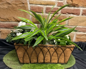 Blooming Window Box