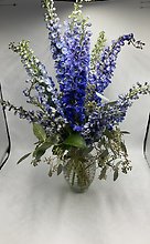 Delightful Delphinium