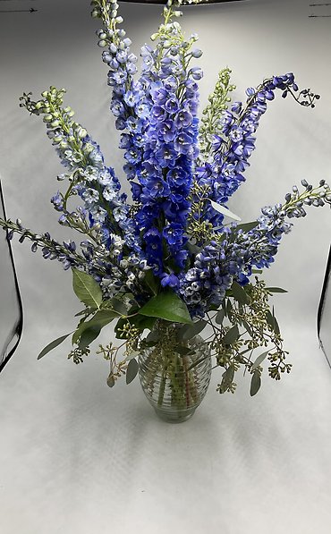 Delightful Delphinium
