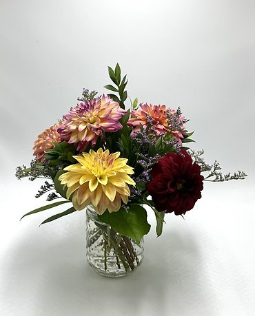 Dahlia Special